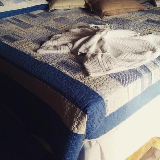 Teresópolis Varzea Palace Hotel מראה חיצוני תמונה