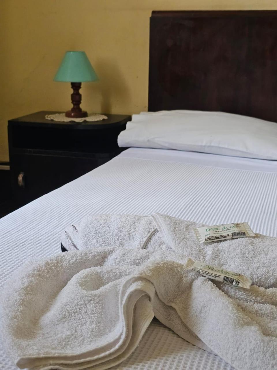 Teresópolis Varzea Palace Hotel מראה חיצוני תמונה